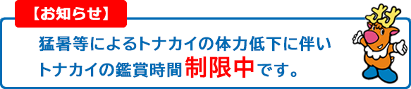 お知らせ
